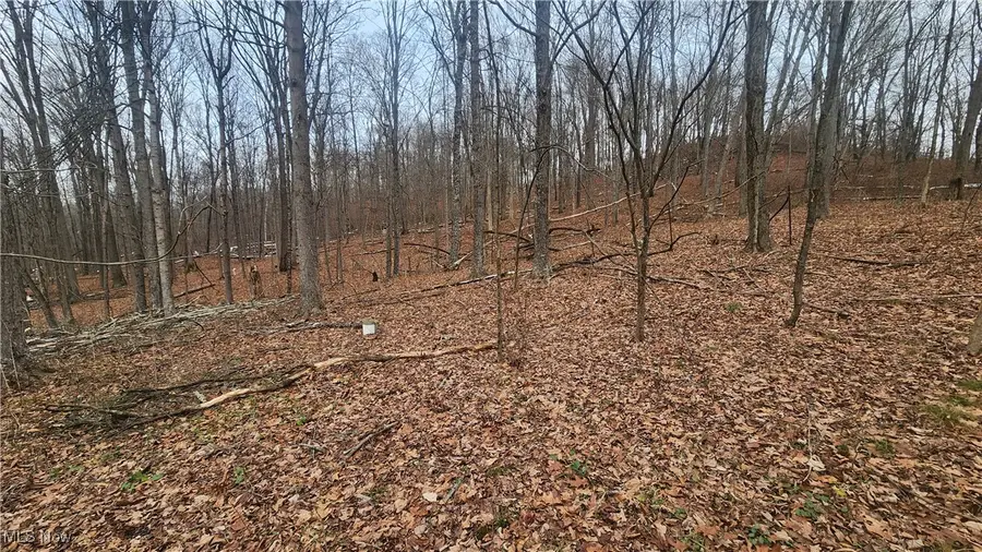 69800 Skull Fork Road, Freeport, OH 43973 - Image #3