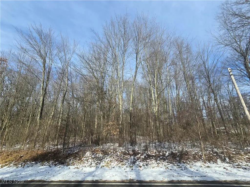 Leffingwell Road, Berlin Center, OH 44401 - Image #1