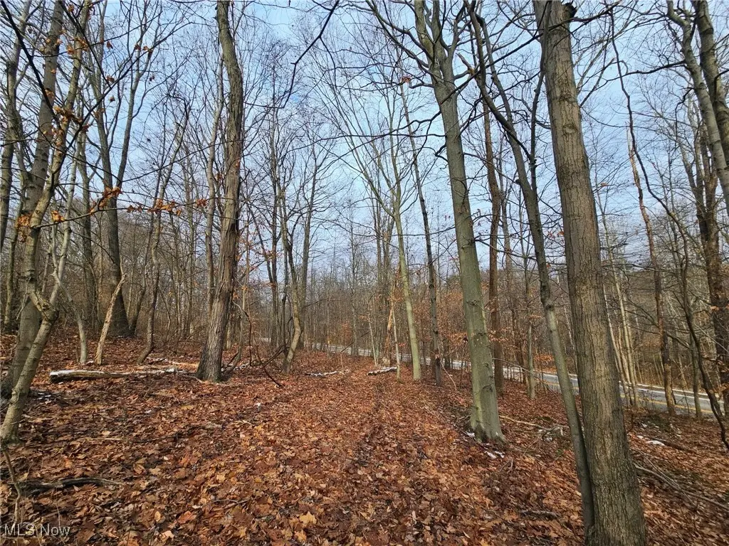 56461 State Route 541, Linton, OH 43845 - Image #1