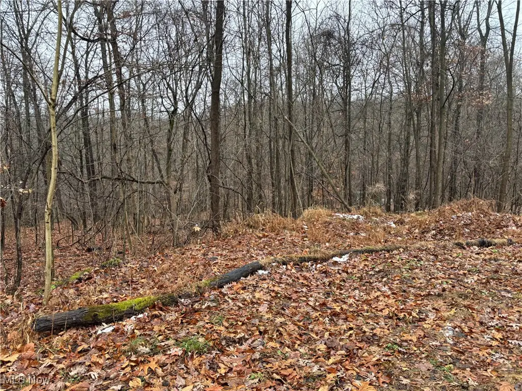 Pert Hill Road, Hopewell, OH 43746 - Image #1