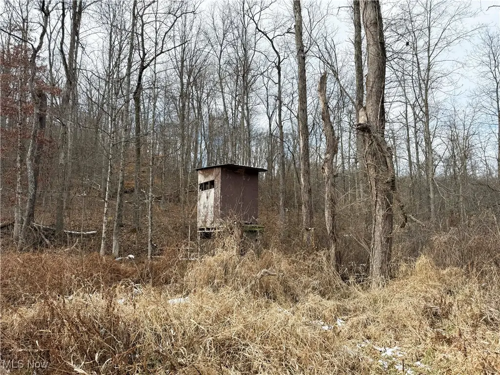 6820 Crane Run Road, Cumberland, OH 43732 - Image #1