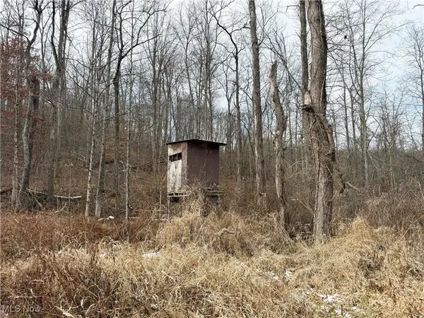 6820 Crane Run Road, Cumberland, OH 43732