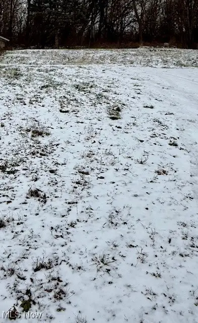 3028 Dearborn Street, Youngstown, OH 44510 - Image #3