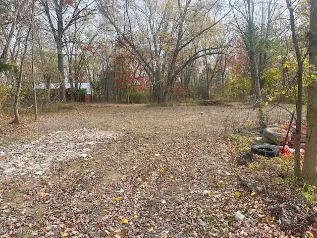 7411 Steams Road, Olmsted Township, OH 44138 - Image #2