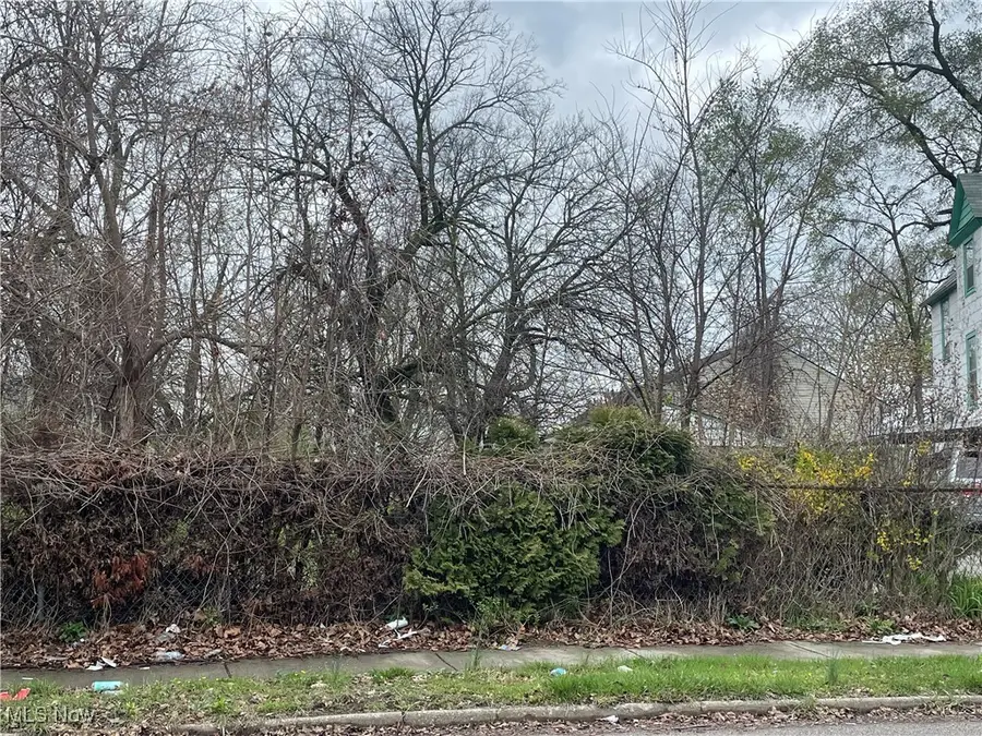 E 93rd Street, Cleveland, OH 44106 - Image #3