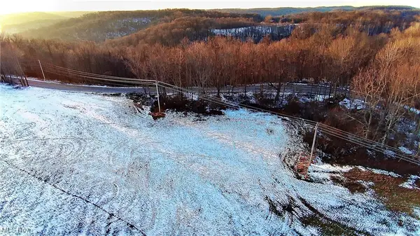 Township Rd. 164, Salineville, OH 43945