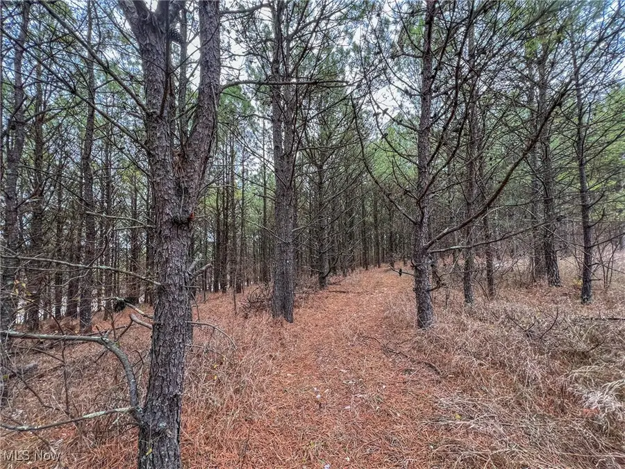 0 Oakland Church Road, Chandlersville, OH 43727 - Image #2