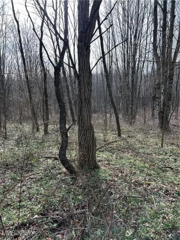 Mace Road, Carrollton, OH 44615 - Image #2