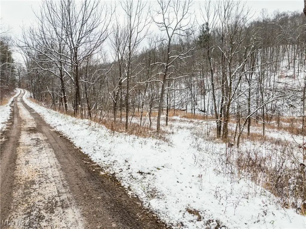 Se Deerhorn Road, Tippecanoe, OH 44699 - Image #1