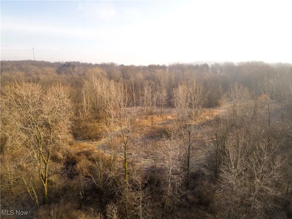 1100 Lantz Avenue, Mansfield, OH 44906 - Image #1