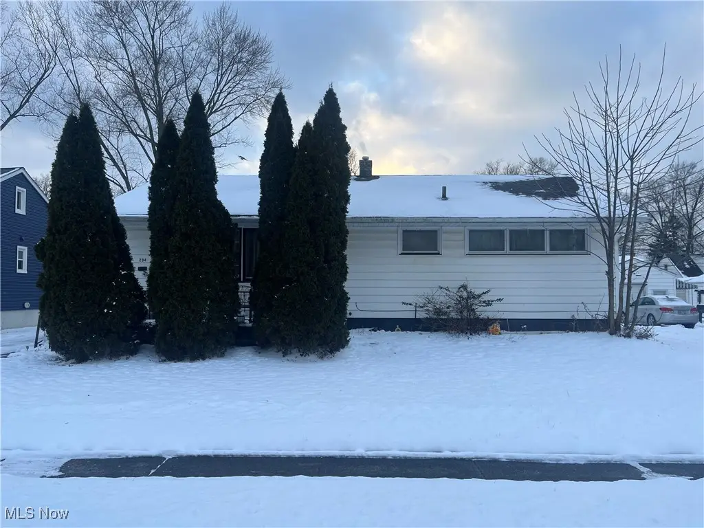 234 Bellfield Avenue, Elyria, OH 44035 - Image #1