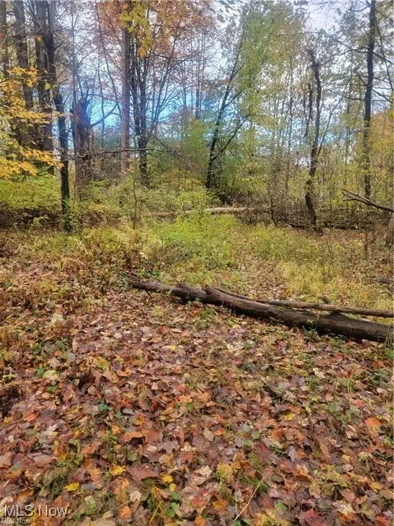 Schaen Drive, Andover, OH 44003 - Image #3