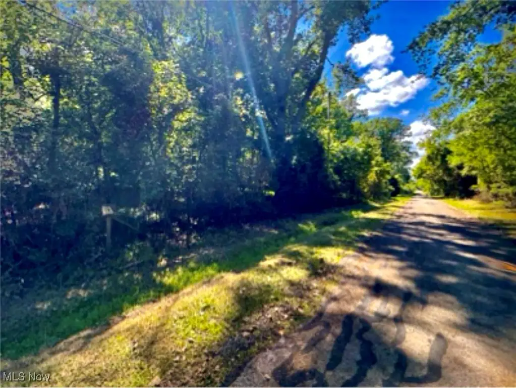 Whittlesey Road, Brownhelm, OH 44001 - Image #1