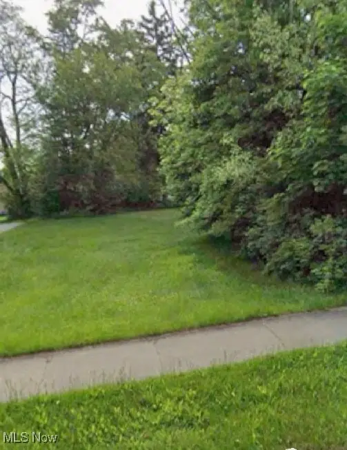 VL Mercer Avenue, Akron, OH 44320 - #1