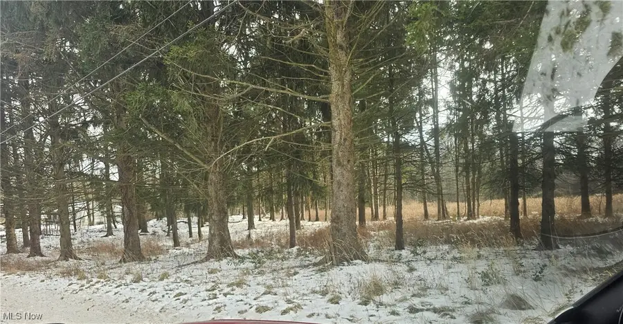 246 Ridgewood Road, Medina, OH 44256 - Image #3