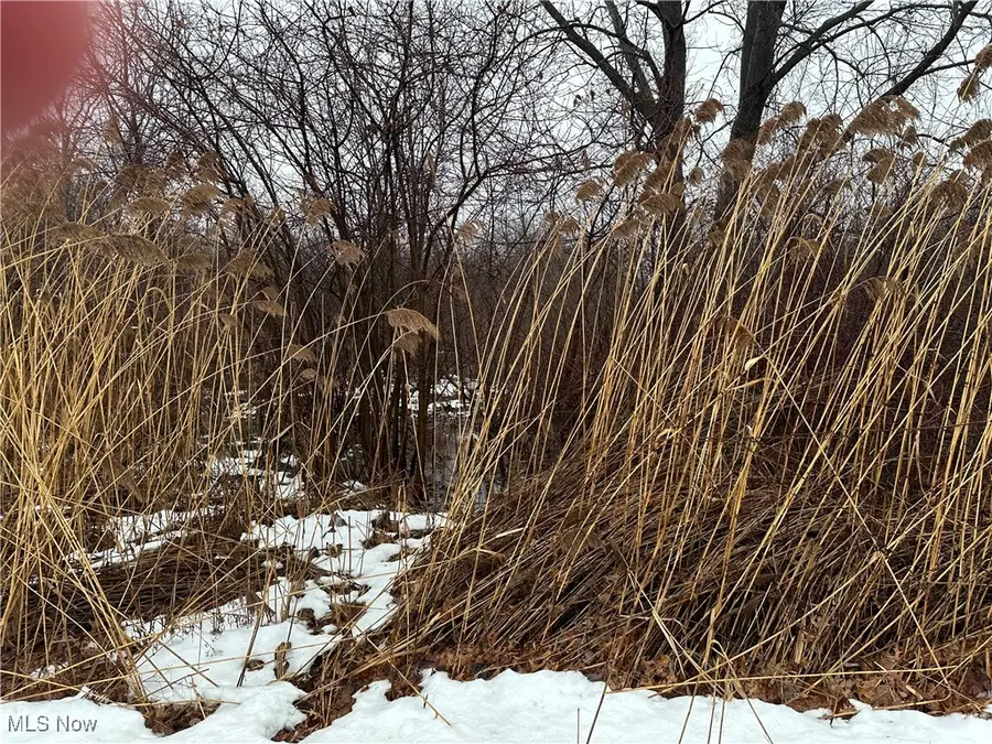 Appaloosa Trl, Madison, OH 44057 - Image #3