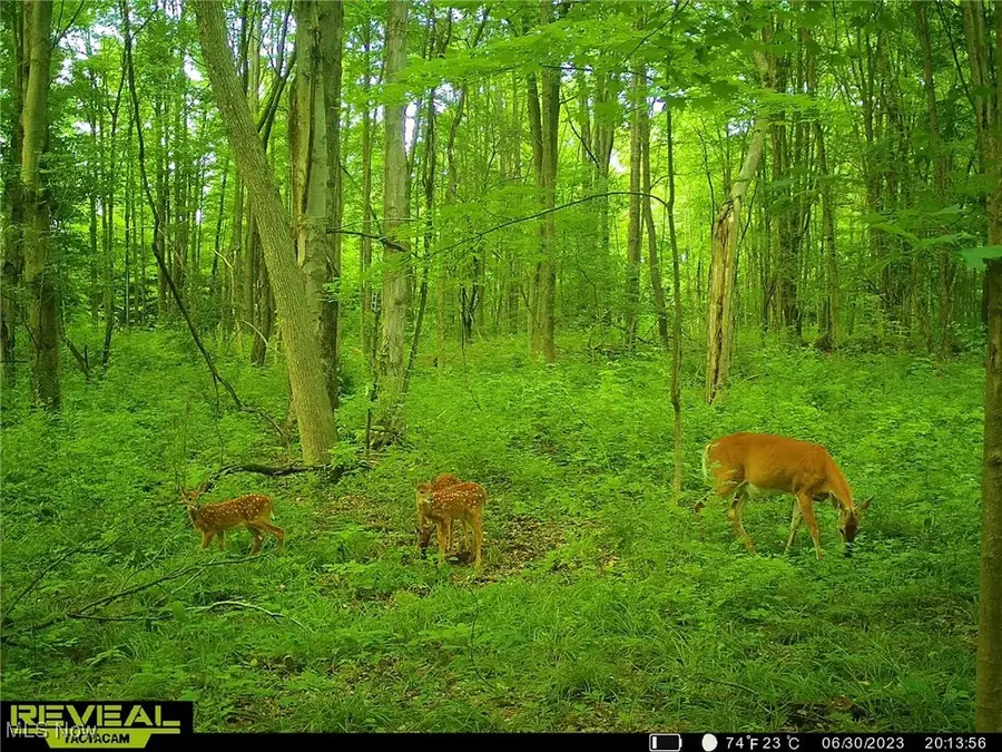 W Footville Richmond Road, Jefferson, OH 44047 - Image #3