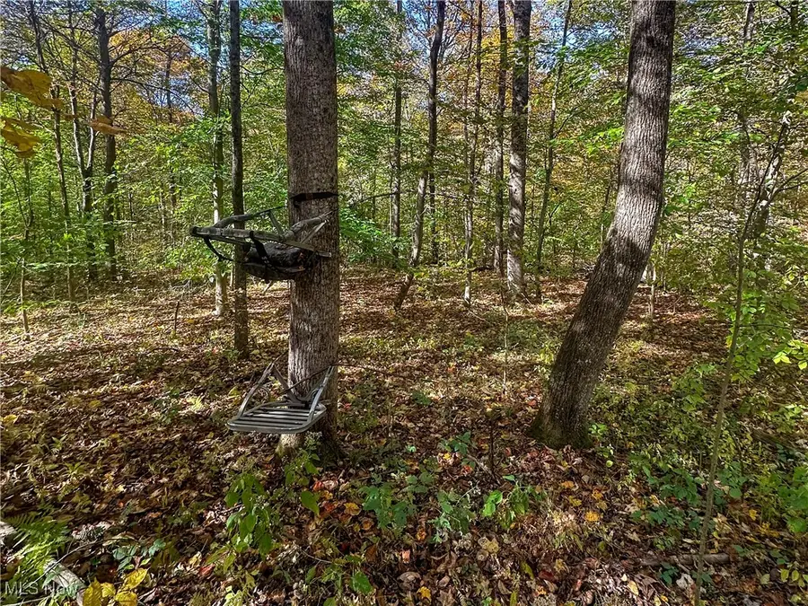 0 Clark Road, Cutler, OH 45724 - #3