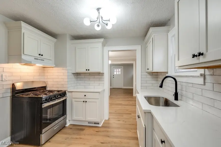 19331 Ormiston Avenue, Euclid, OH 44119 - Image #3