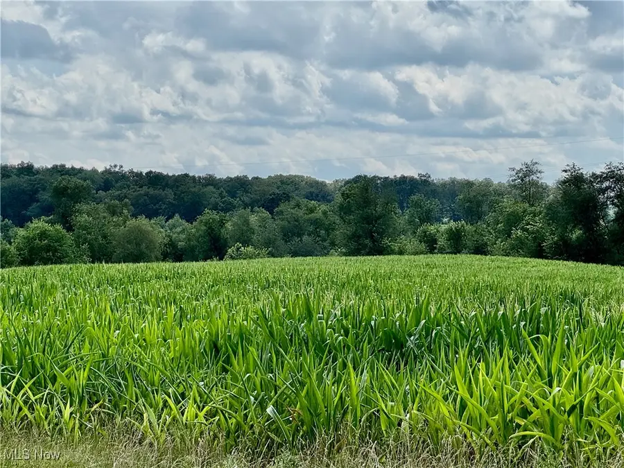 Foundry Hill Road, Salineville, OH 43945 - Image #2