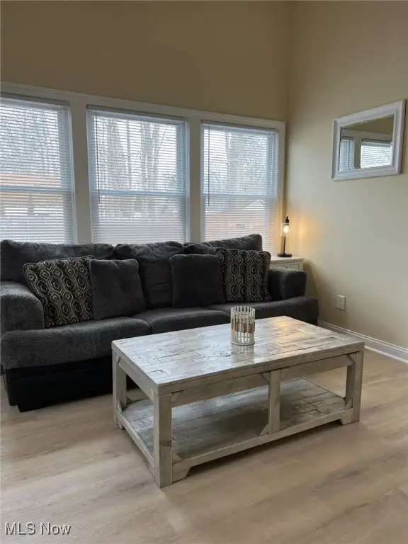 5263 Log Cabin Drive, Geneva, OH 44041 - Image #3