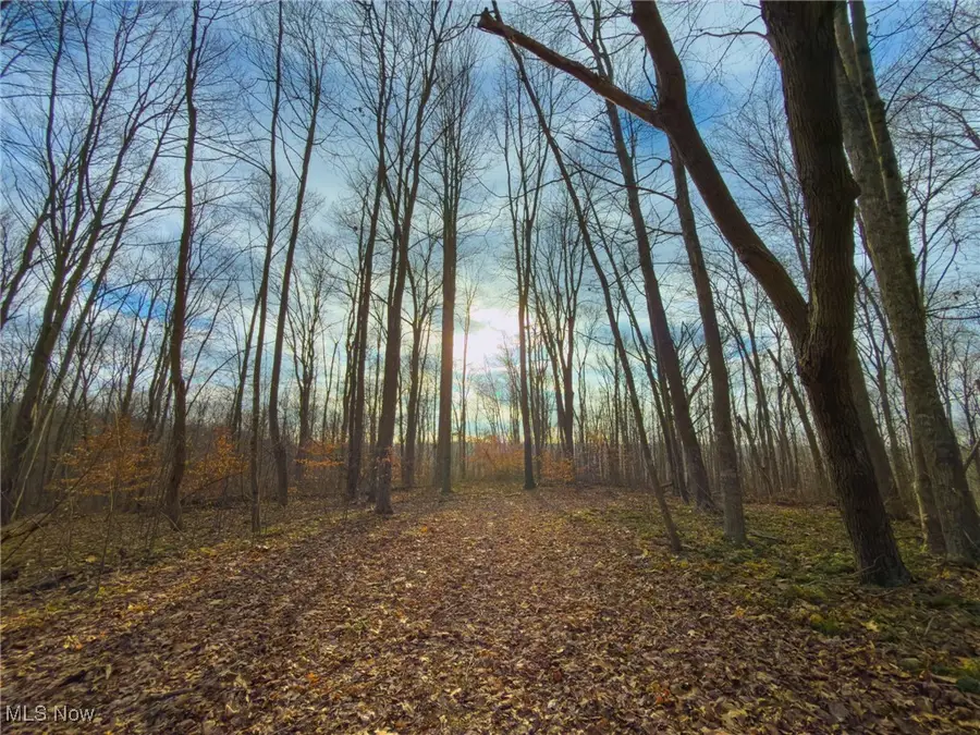 0 Long Fork Road, Piketon, OH 45661 - Image #3