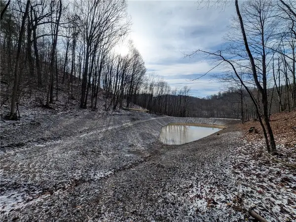 1054 Bergholz Se Road, Mechanicstown, OH 43908