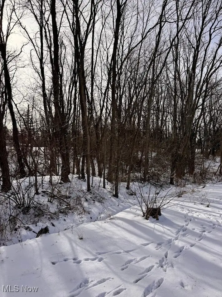 V/L Hartman Road, Wadsworth, OH 44281 - #3