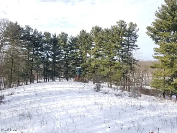 Lewis Road, Salineville, OH 43945