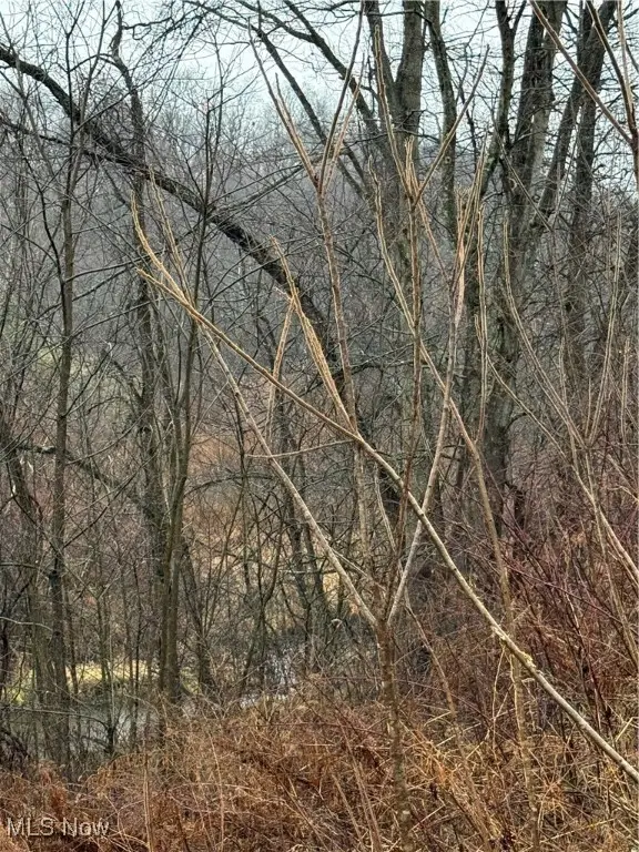 2492 Irish Ridge Road, East Liverpool, OH 43920 - Image #3