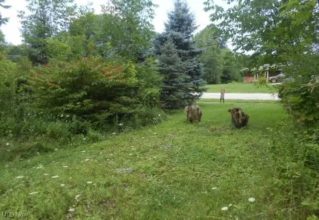 VL Shurmer Road, Strongsville, OH 44136 - Image #1