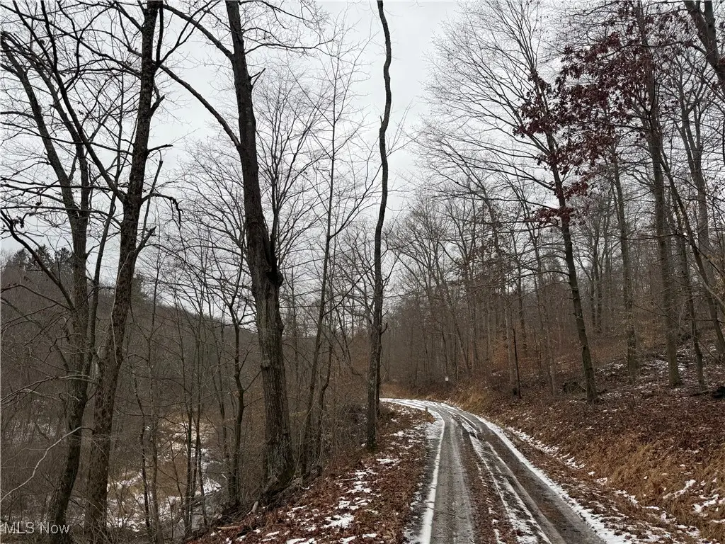 Greenbank Road, Lewisville, OH 43754 - Image #1