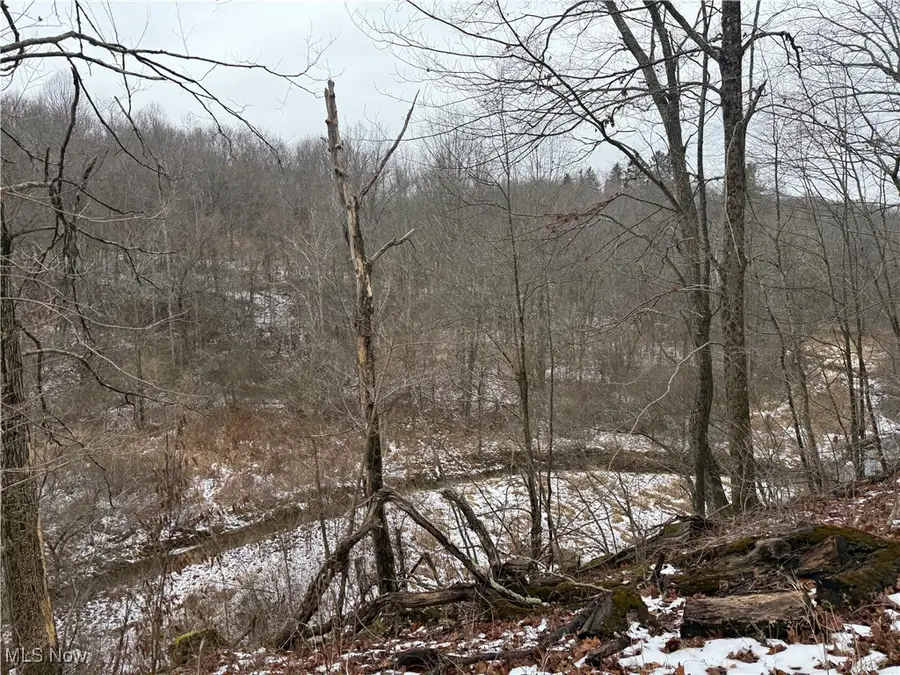 Greenbank Road, Lewisville, OH 43754 - Image #3