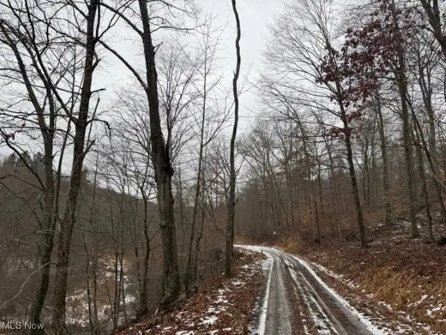 Rear Township Road, Lewisville, OH 43754 - Image #1