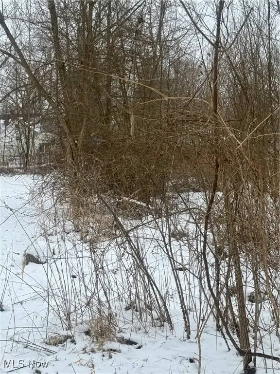 2668 Draper Se Avenue, Warren, OH 44484 - Image #1