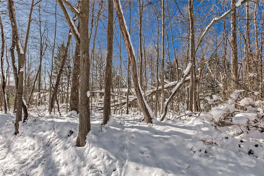 V/L #17 Chillicothe Road, Chagrin Falls, OH 44023 - Image #2