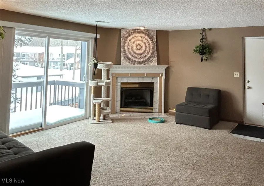 6231 Hidden Creek Drive #233, Lorain, OH 44053 - Image #3
