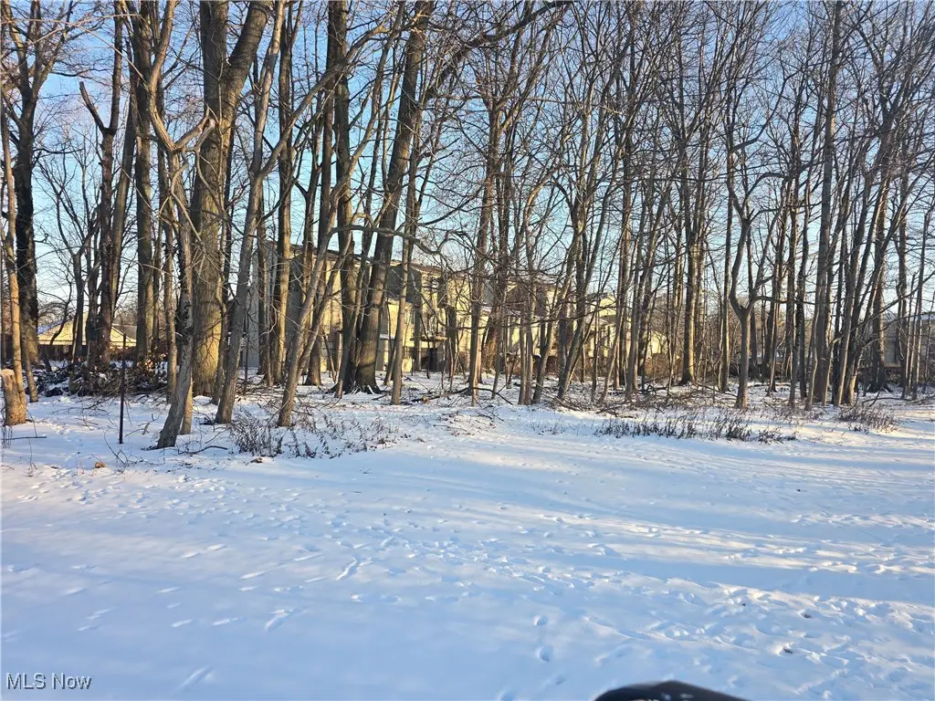 VL#2 Oak Street, Willoughby, OH 44094 - Image #1