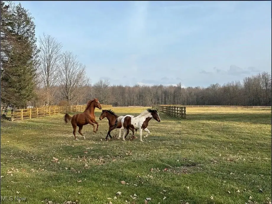 9300 N Main Street, Windham, OH 44288 - #1