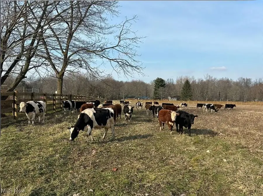 9300 N Main Street, Windham, OH 44288 - #2