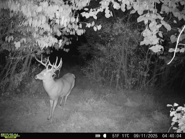 County Road 99, Warsaw, OH 43844 - #2