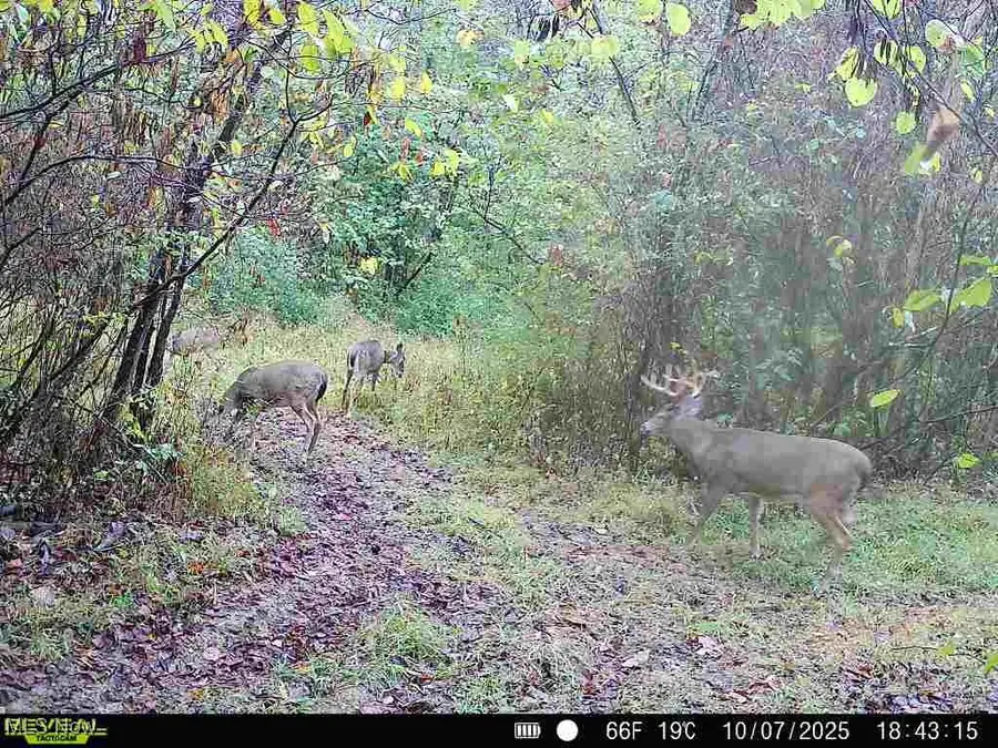 County Road 99, Warsaw, OH 43844 - #3