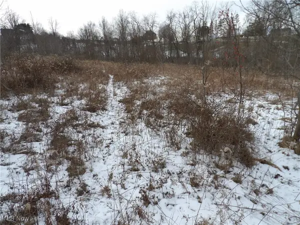 Belmont Centerville Rd, Belmont, OH 43718