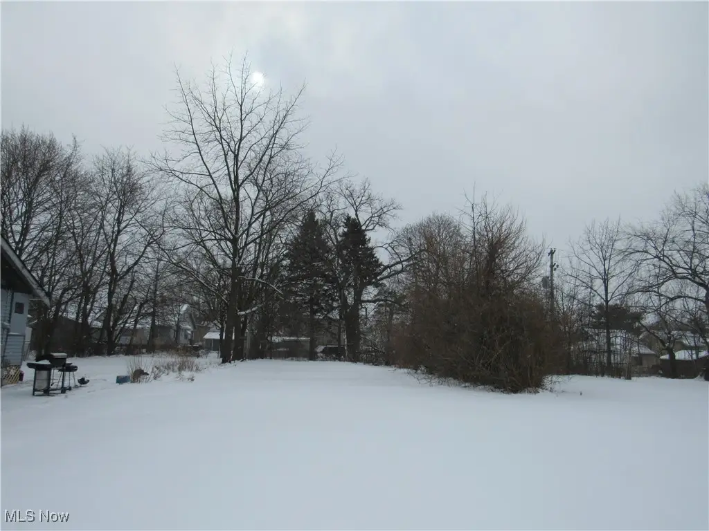 12212 Craven Avenue, Cleveland, OH 44105 - #1