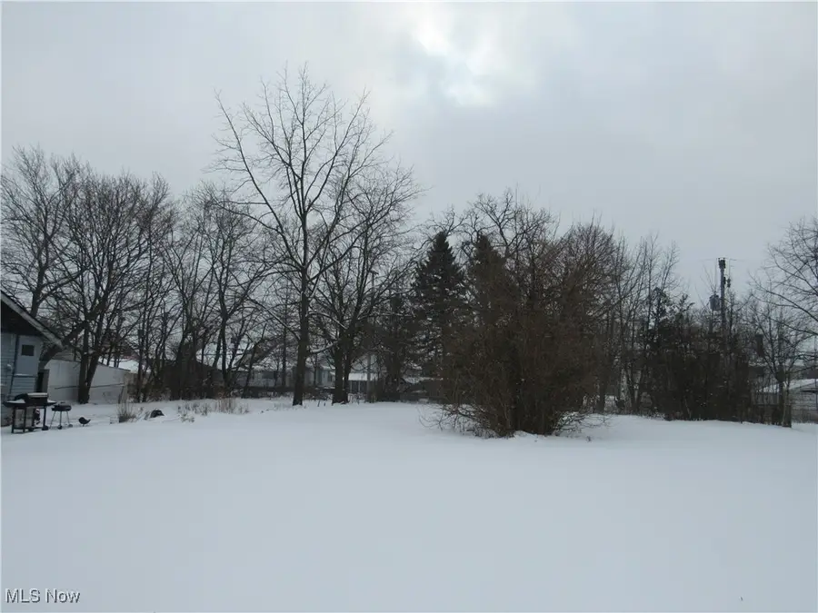 12212 Craven Avenue, Cleveland, OH 44105 - #2