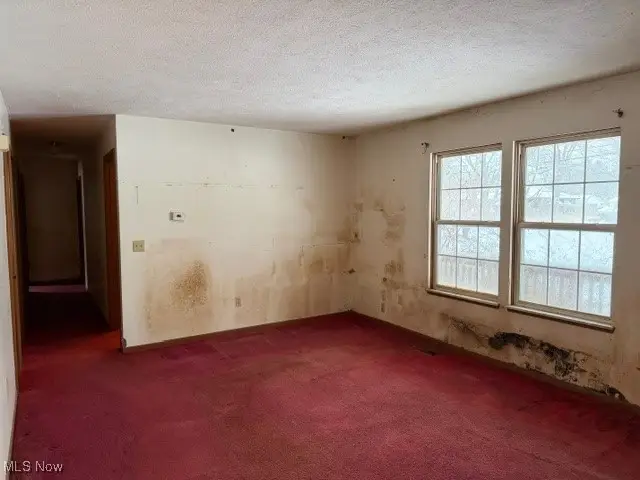 1260 Bennett Road, Madison, OH 44057 - #3