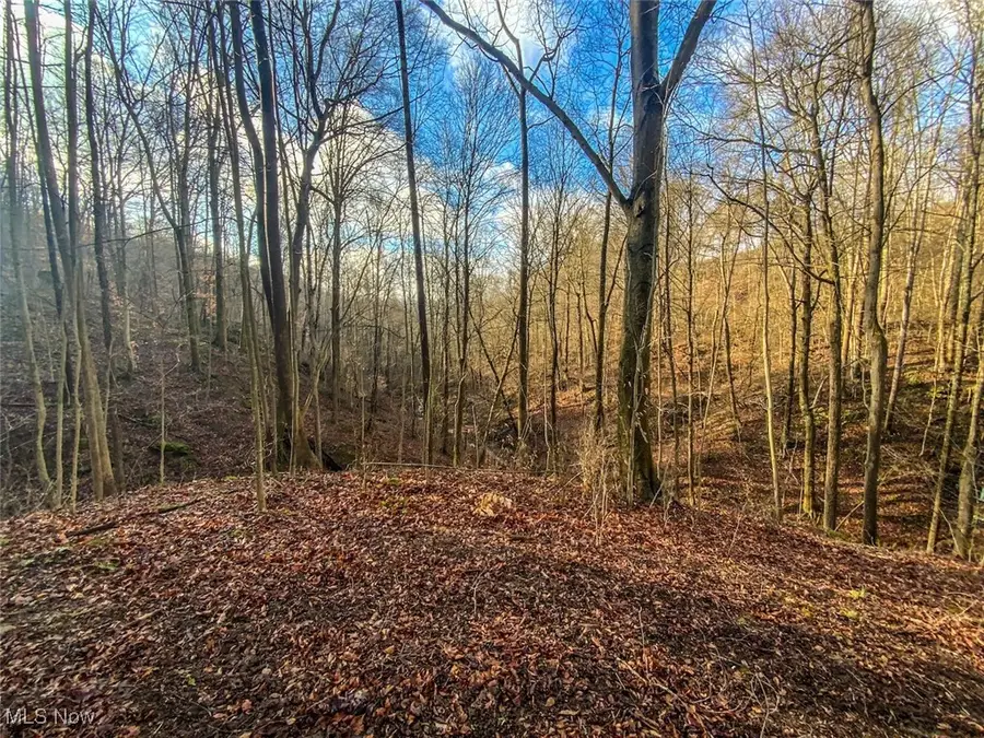 0 New Cut Rd, Shadyside, OH 43947 - #3