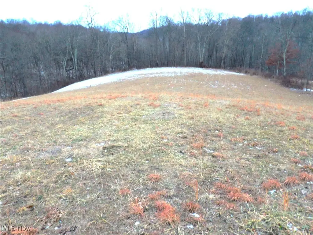 50877 Moore Ridge Road, Jerusalem, OH 43747 - #1