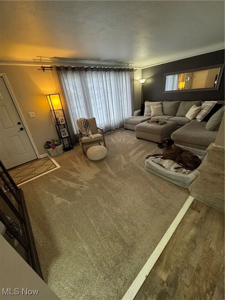 28949 Beechwood Drive, Willowick, OH 44095 - #3