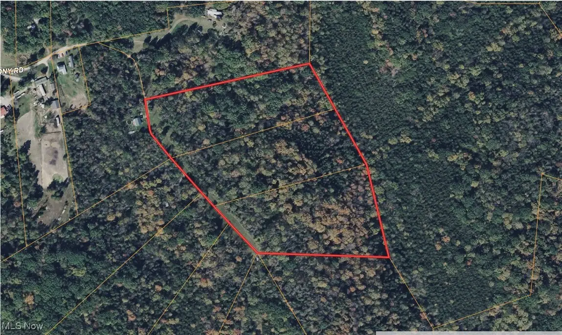 700 Tony Road, Sprigg, OH 45144 - #1